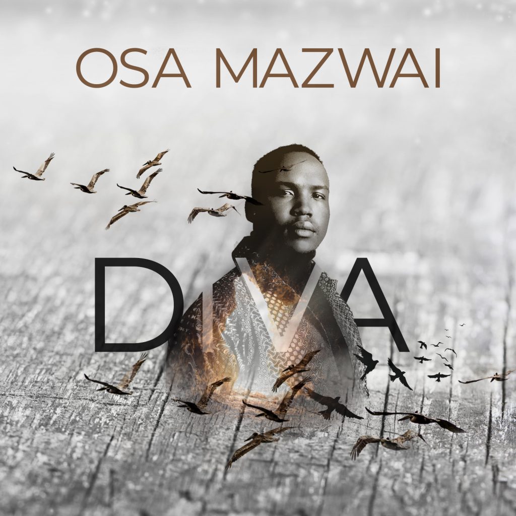 Mashing the musical stylings of pop sensations ‘Harry Styles’ and ‘Justin Bieber’ with the undeniable tempo and influence of the Black Eyed Peas, ‘Osa Mazwai’ drops #DIVA.